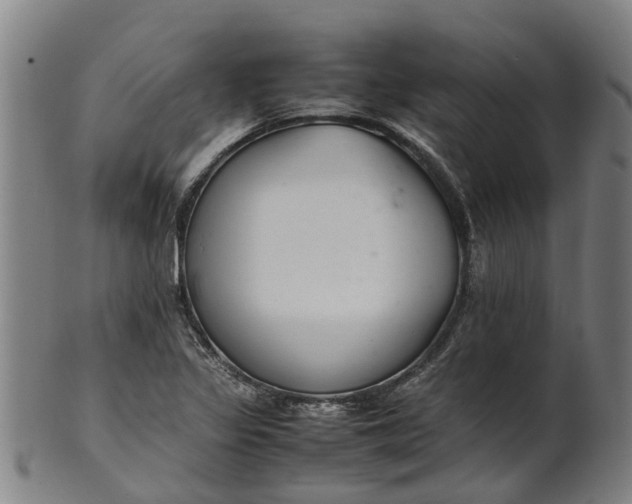 X0000101661317200807241409