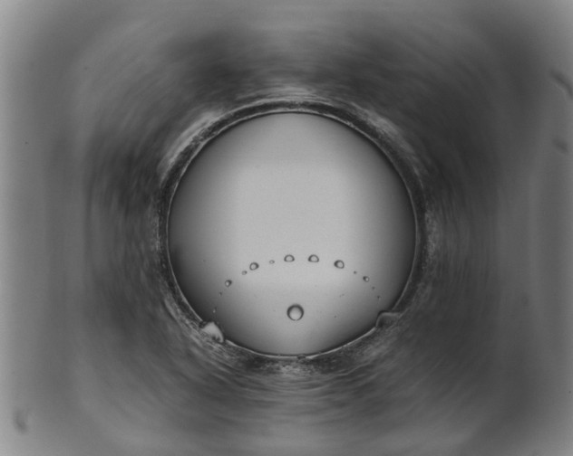 X0000101661318200807241409