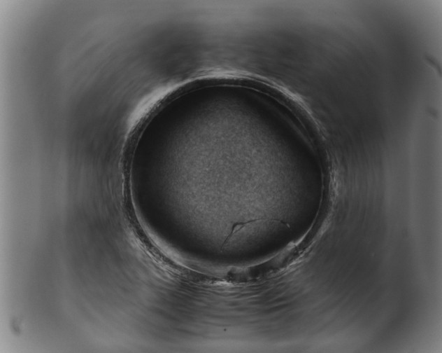 X0000101661319200807241409