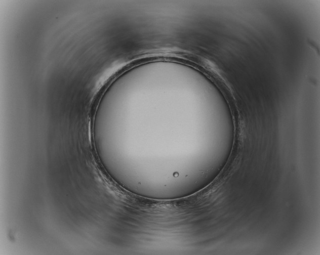 X0000101661320200807241409