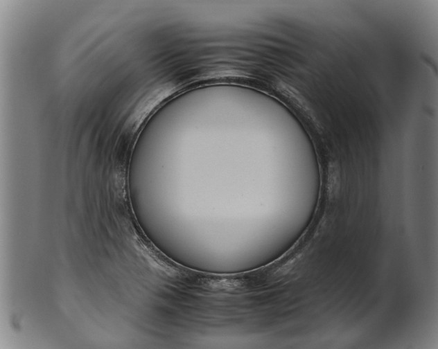 X0000101661321200807241409