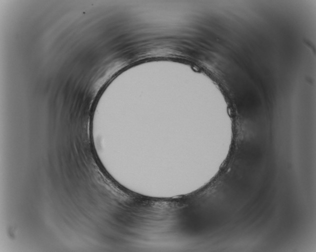 X0000101661322200807241409