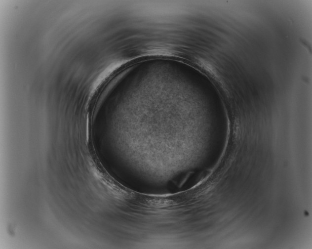 X0000101661323200807241409