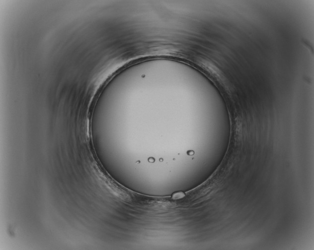 X0000101661324200807241409