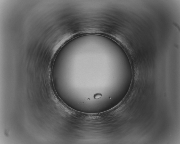 X0000101661325200807241409