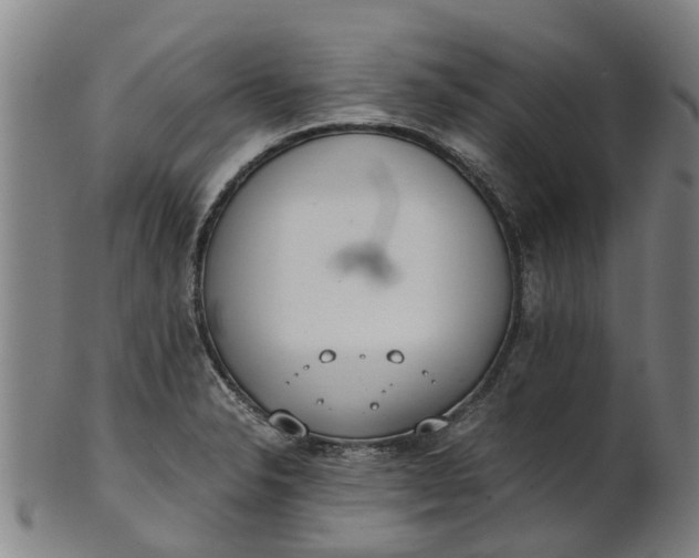 X0000101661326200807241409