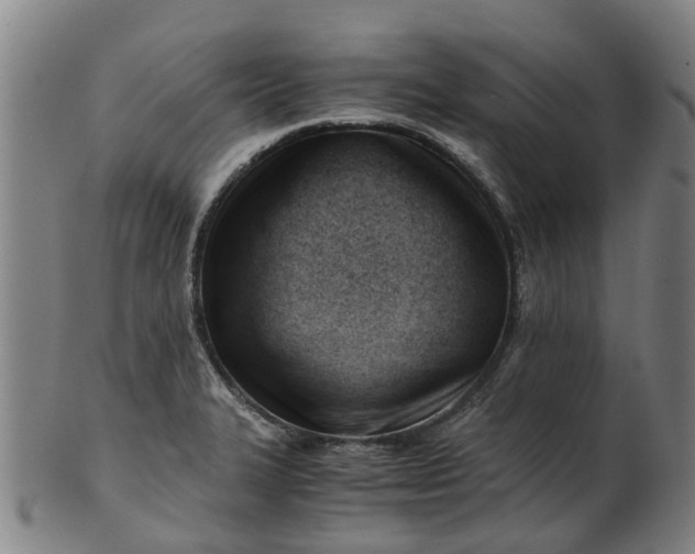 X0000101661327200807241409