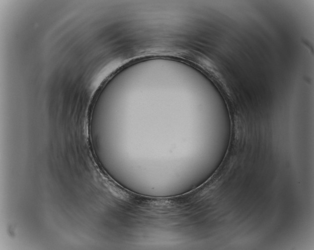 X0000101661328200807241409