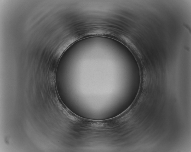 X0000101661329200807241409