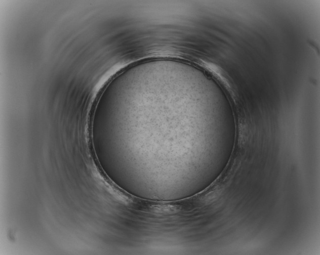 X0000101661331200807241409