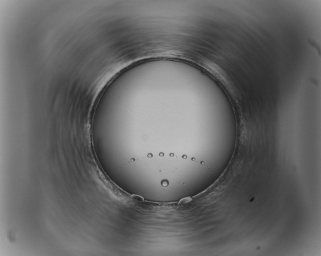 X0000101661332200807241409