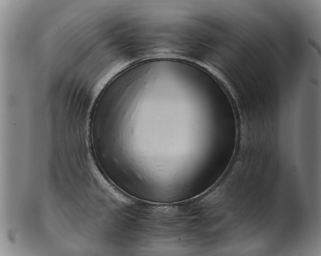 X0000101661333200807241409