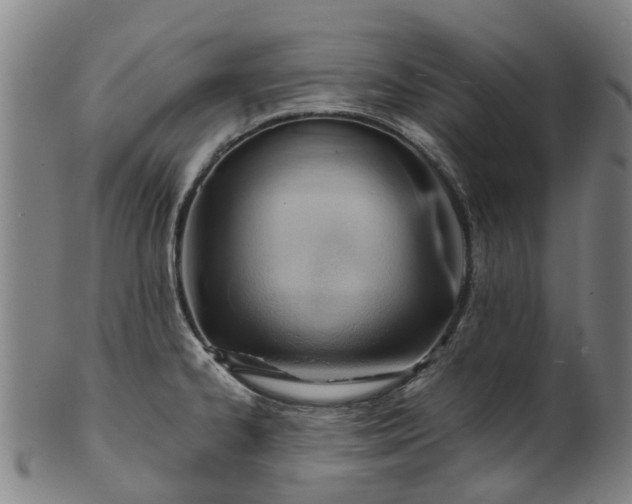 X0000101661334200807241409