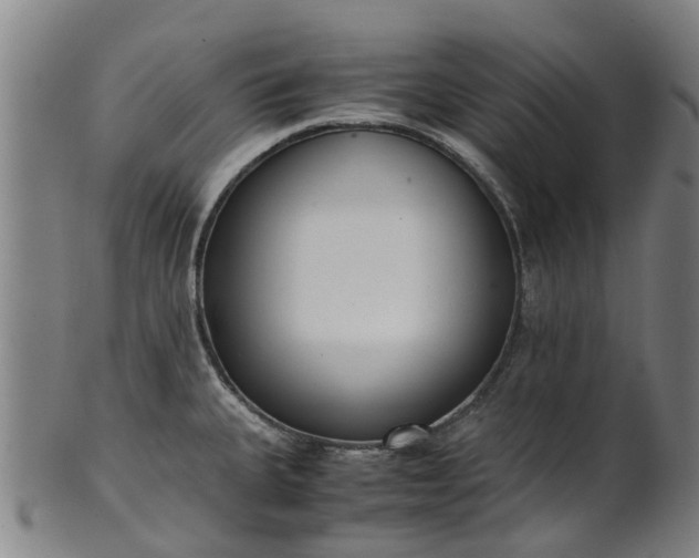 X0000101661335200807241409