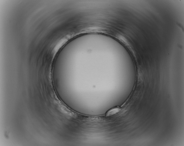 X0000101661336200807241409