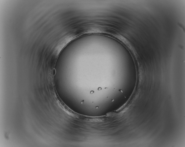 X0000101661337200807241409