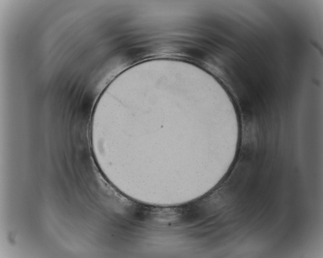 X0000101661338200807241409