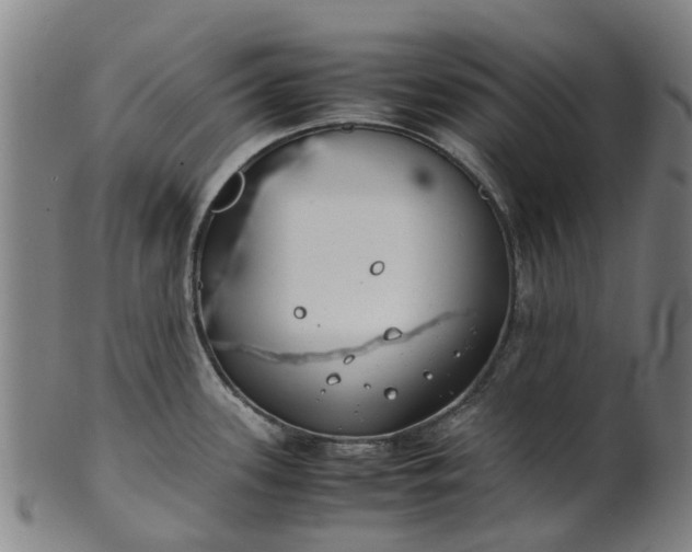 X0000101661339200807241409