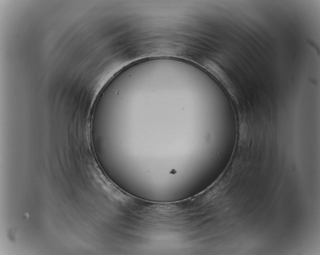 X0000101661340200807241409