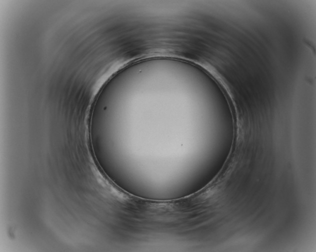 X0000101661341200807241409