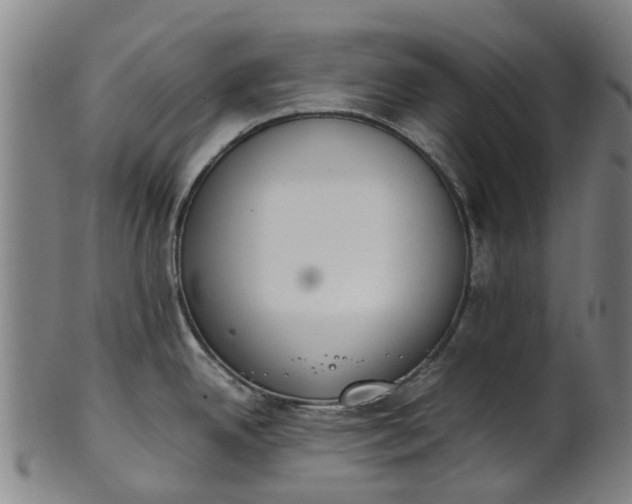 X0000101661342200807241409