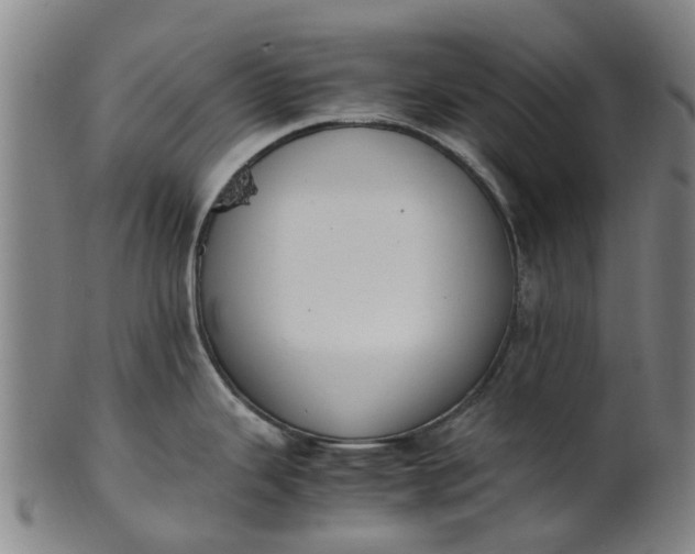 X0000101661343200807241409