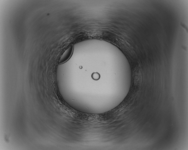 X0000101661345200807241408