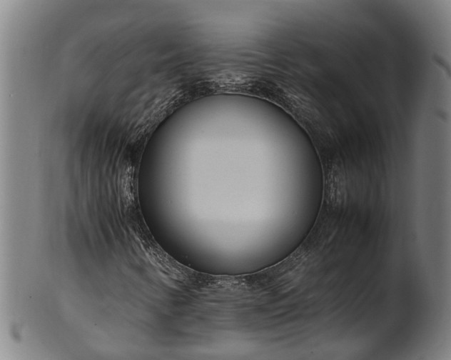 X0000101661346200807241408