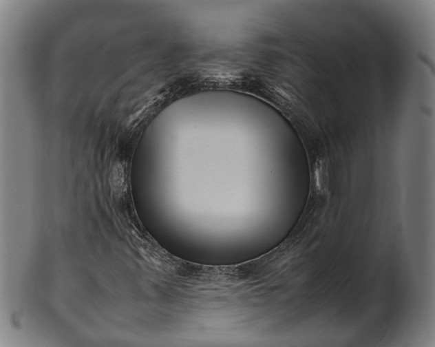 X0000101661347200807241408