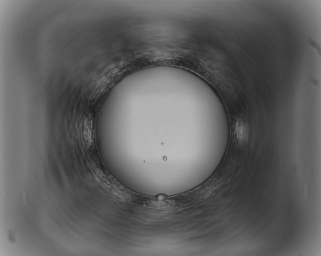 X0000101661348200807241408