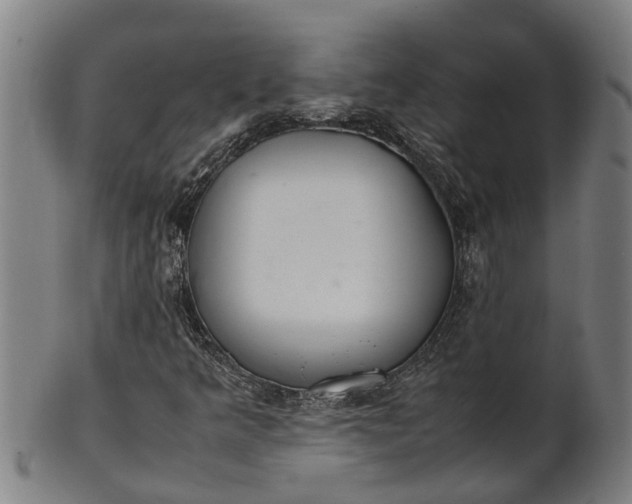 X0000101661349200807241408