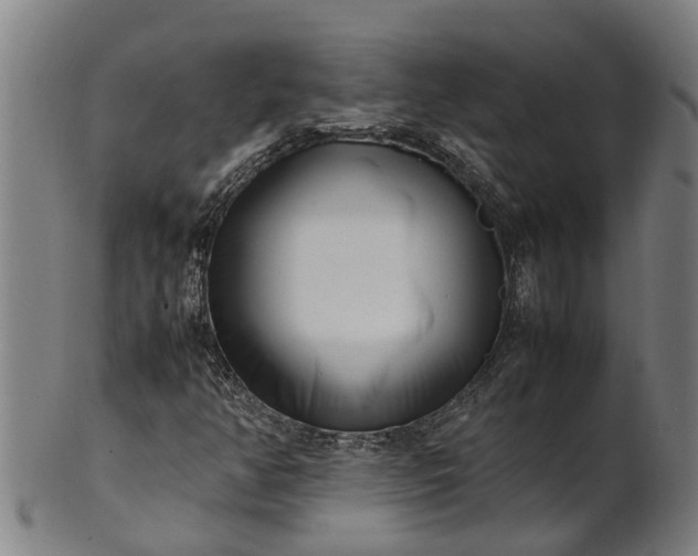 X0000101661350200807241408