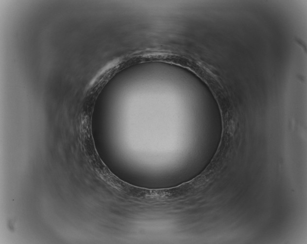 X0000101661351200807241408