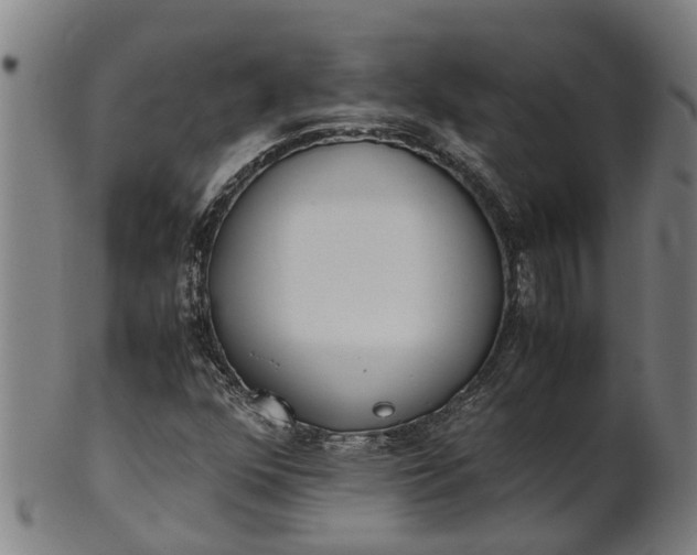 X0000101661352200807241408