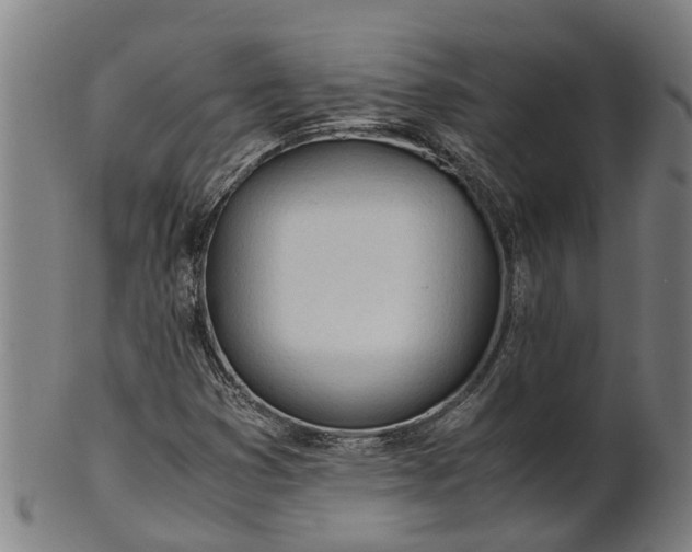 X0000101661353200807241408