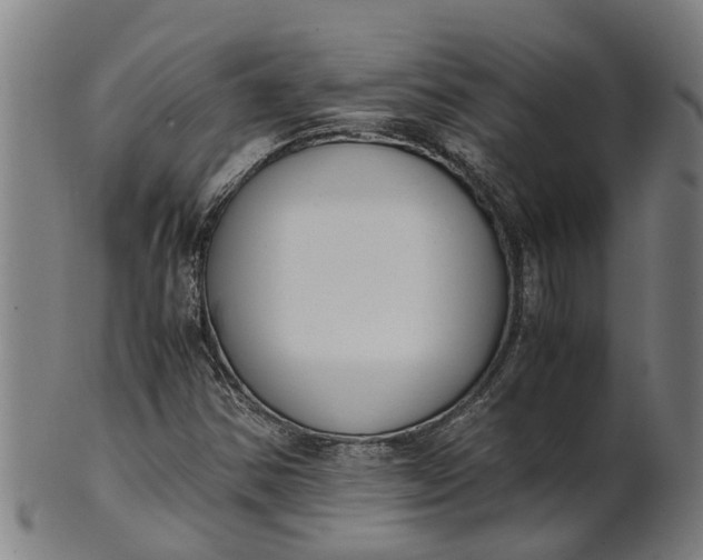 X0000101661354200807241408