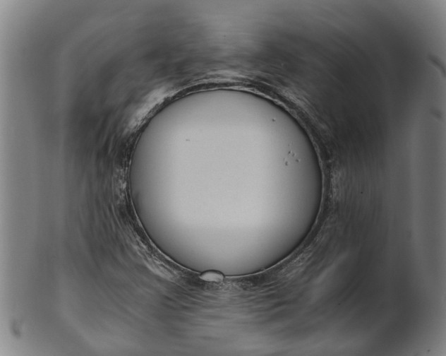 X0000101661355200807241408