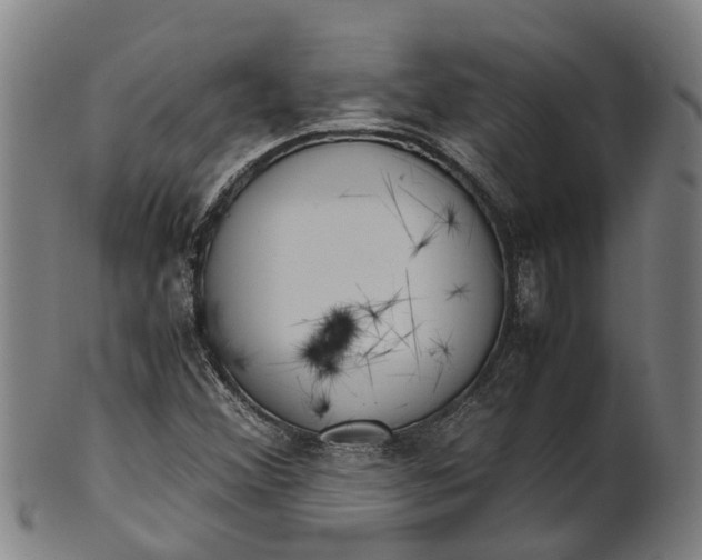 X0000101661356200807241408