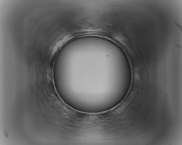 X0000101661357200807241408