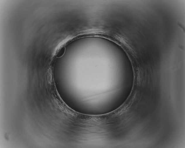 X0000101661358200807241408