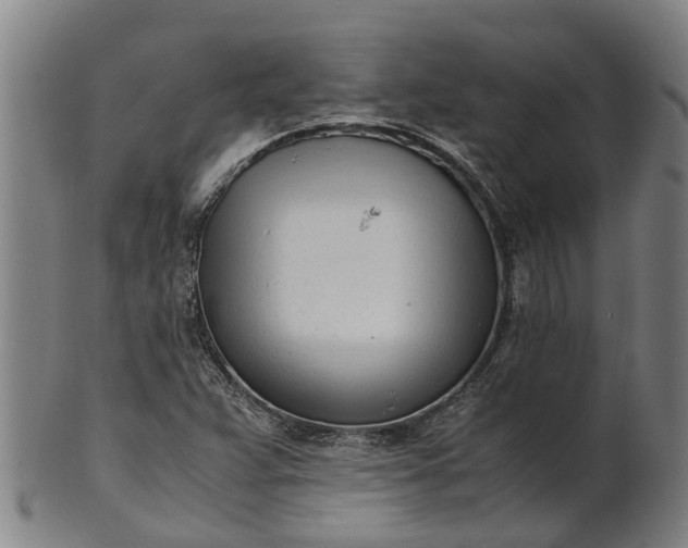 X0000101661359200807241408