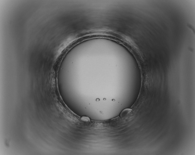 X0000101661360200807241408