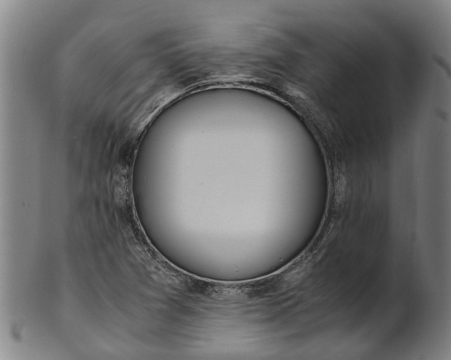 X0000101661361200807241408