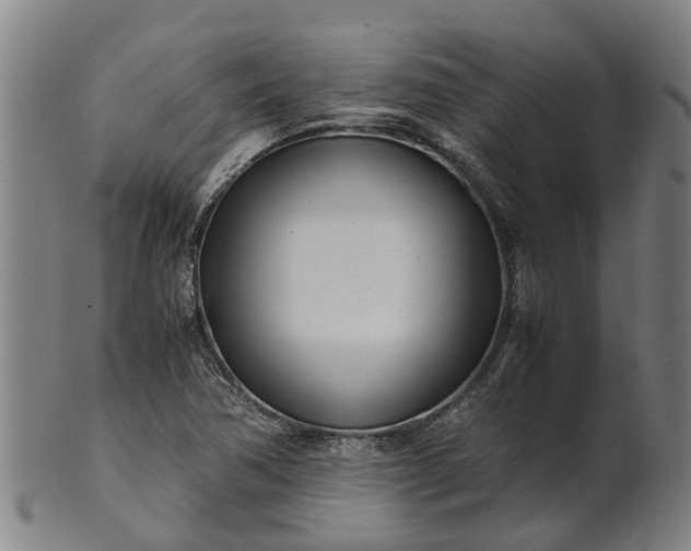 X0000101661362200807241408