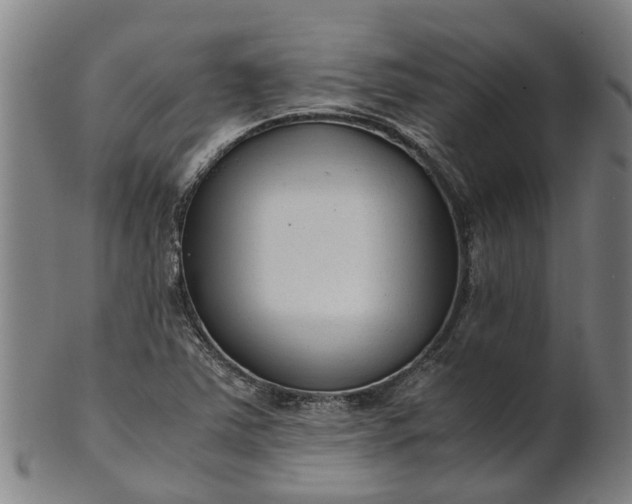 X0000101661363200807241408