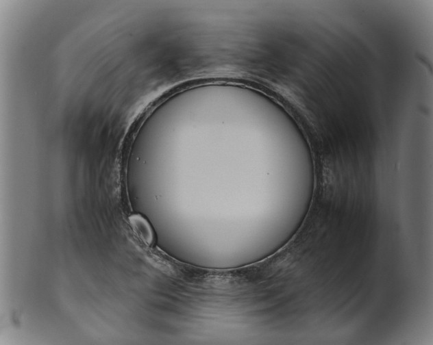 X0000101661364200807241408