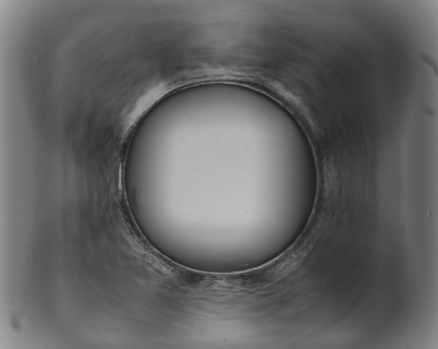 X0000101661365200807241408