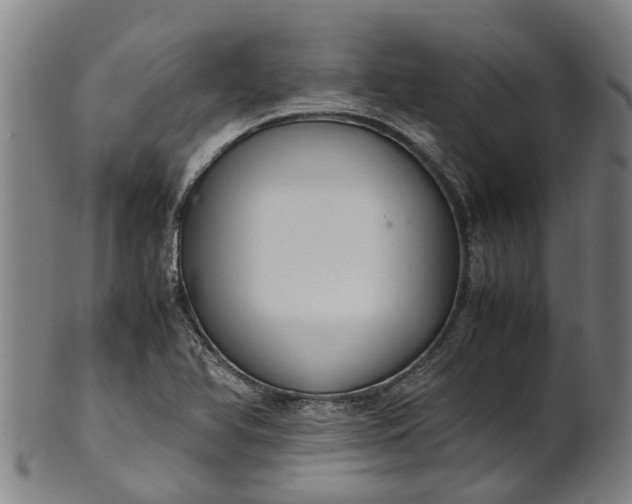 X0000101661366200807241408