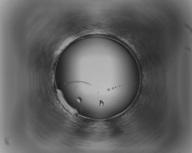 X0000101661367200807241408