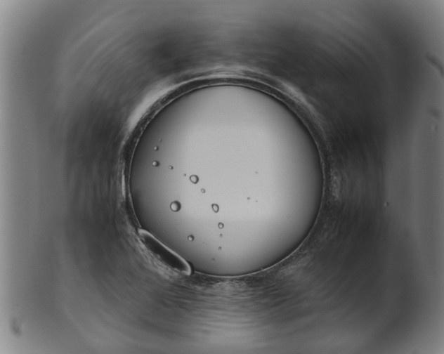 X0000101661368200807241408